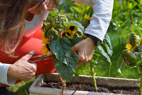 Community garden event in Notting Hill