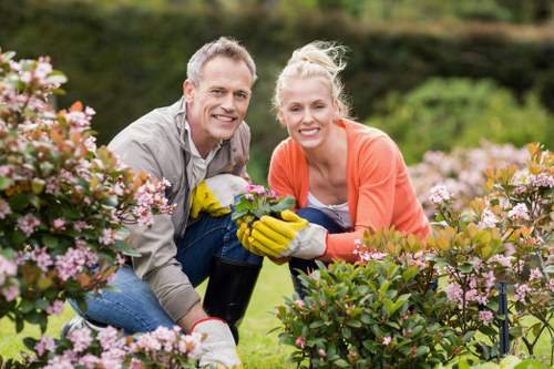 Experienced gardener pruning plants in Hurstville